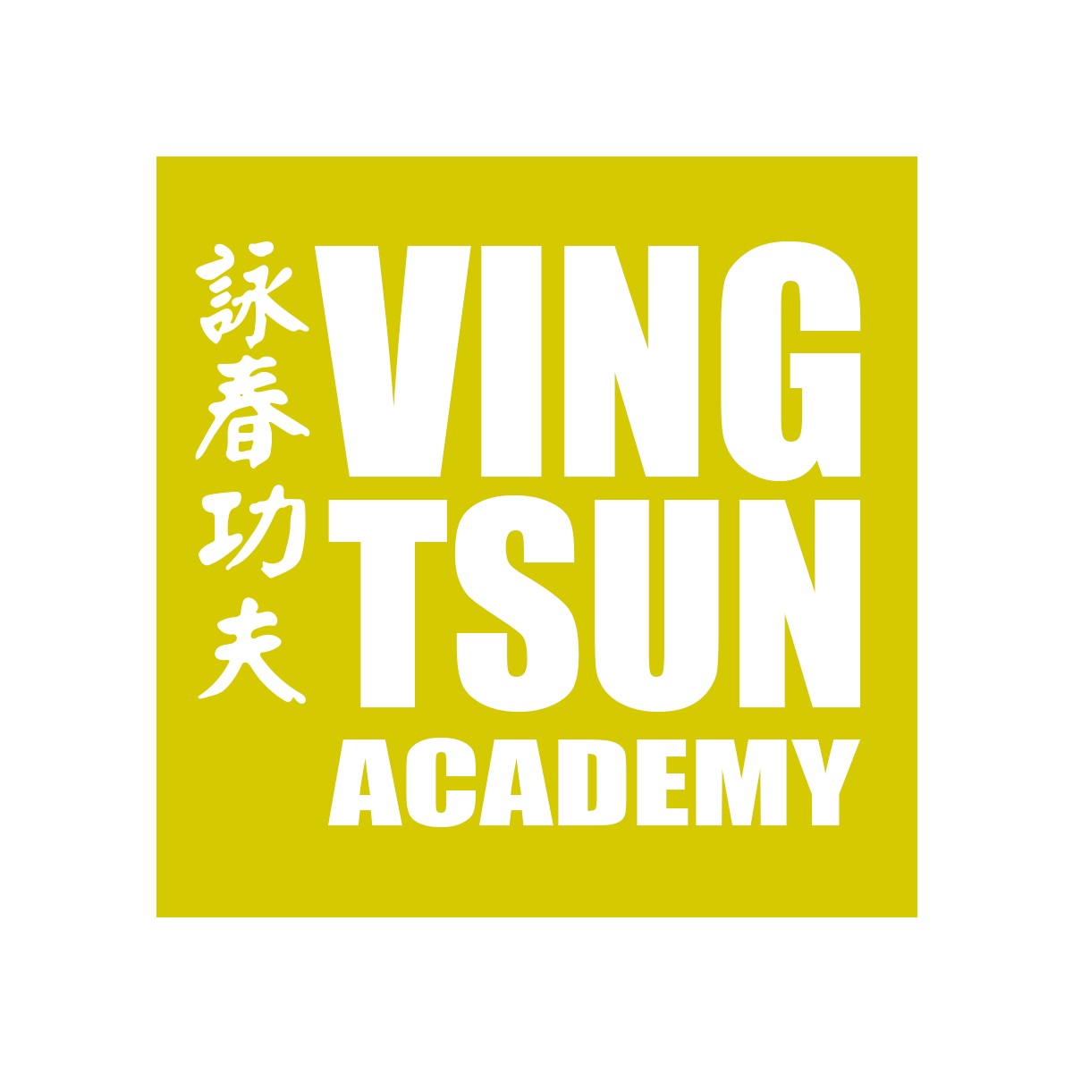 Ving Tsun Academy